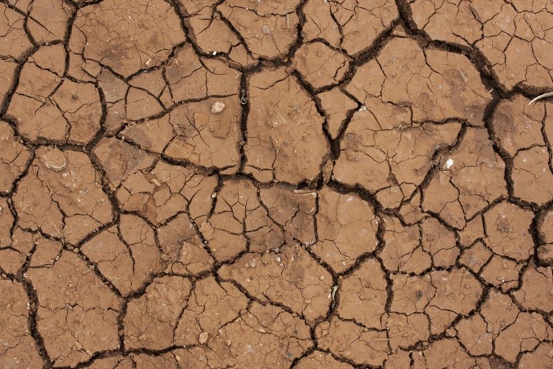 Drought(1)