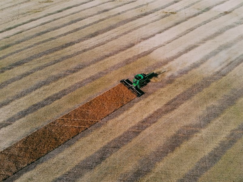 Harvest2021-2