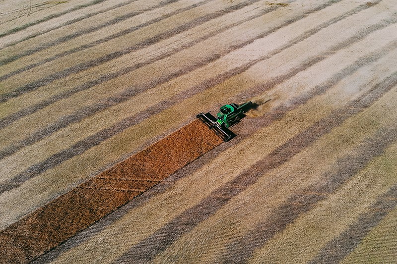 Harvest