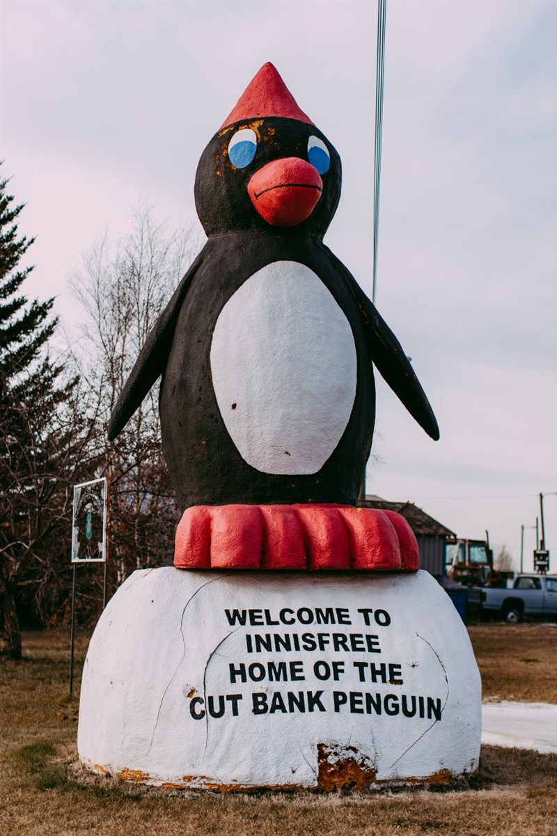 InnisfreePenguin2