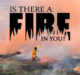 fire