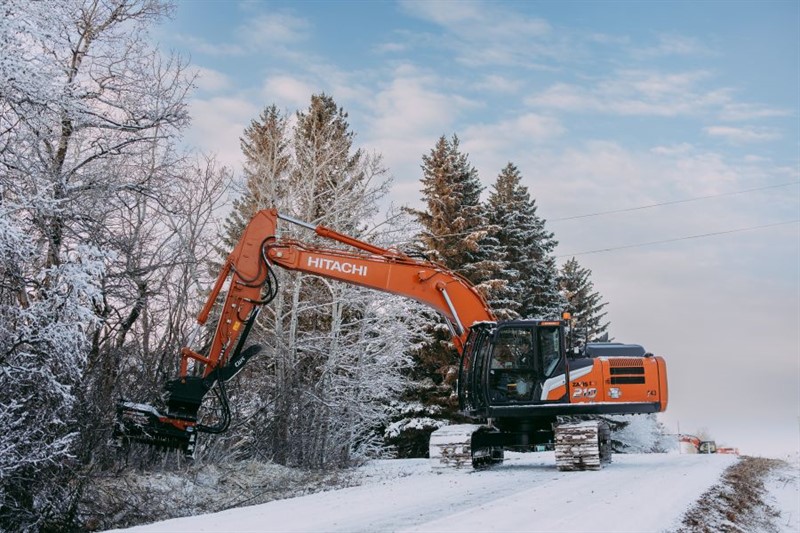 winterbrushing